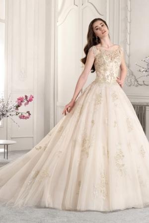 Demetrios 884