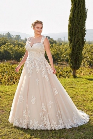 Eddy K Curvy Style UR102